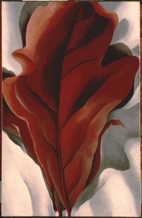 ジョージア・オキーフ】花のシリーズなどで有名な絵画の代表作品 