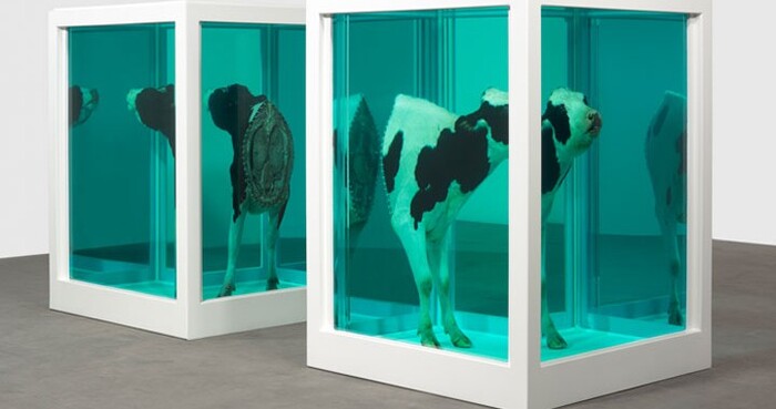 ダミアン・ハースト】国立新美術館で日本初の「桜」展開催中！牛やサメ 