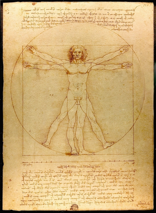 「ウィトルウィウス的人体図」レオナルド・ダ・ヴィンチ